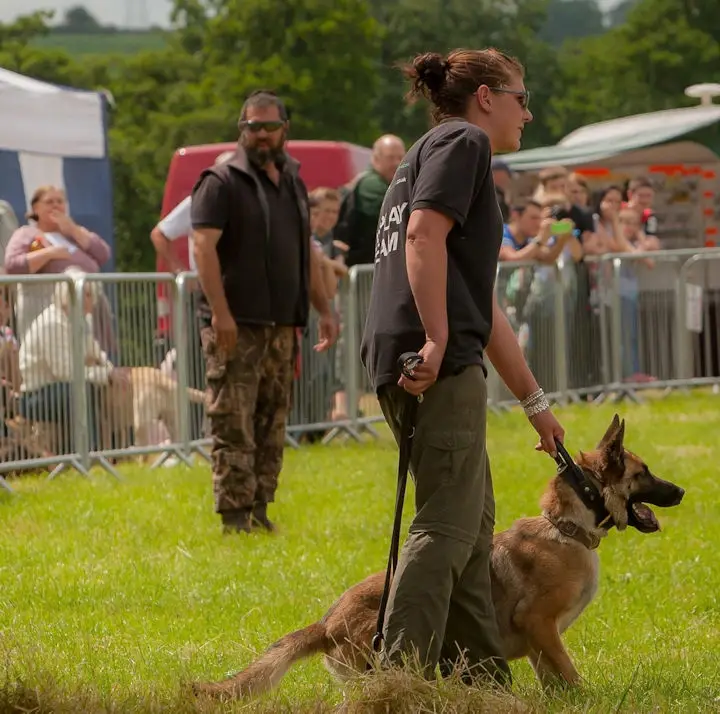 Emma Goodwin, The Canine Guide, at a dog show.